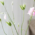 Immerse Yourself In Silkeborgs Wonderful Nature 실케보르