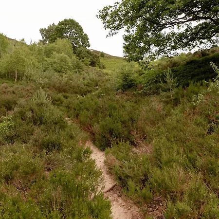 Immerse Yourself In Silkeborgs Wonderful Nature Holiday home *