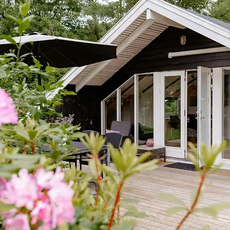 Immerse Yourself In Silkeborgs Wonderful Nature Holiday home *