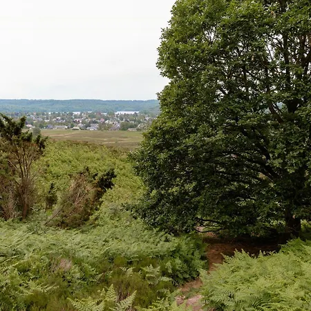 Immerse Yourself In Silkeborgs Wonderful Nature Semesterbostad *