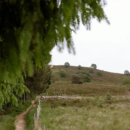 Immerse Yourself In Silkeborgs Wonderful Nature