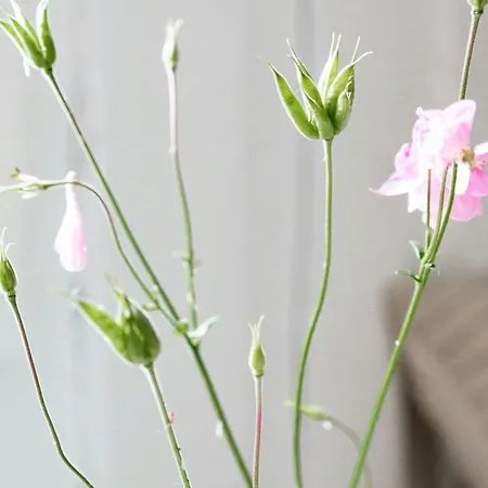 Immerse Yourself In Silkeborgs Wonderful Nature Silkeborg