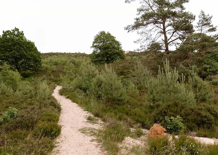 Immerse Yourself In Silkeborgs Wonderful Nature Silkeborg